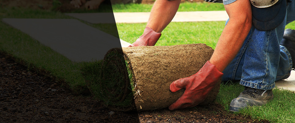 Marshville Landscapers